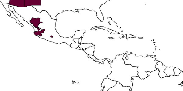 map of Calicurgus hyalinatus  excoctus   Townes, 1957